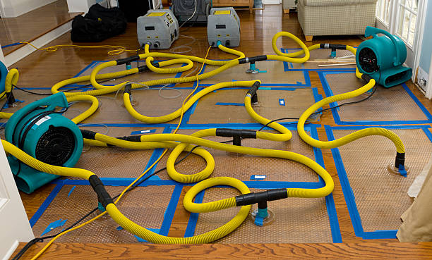 Professional Storm Water Damage Restoration technician working in Mentor, OH